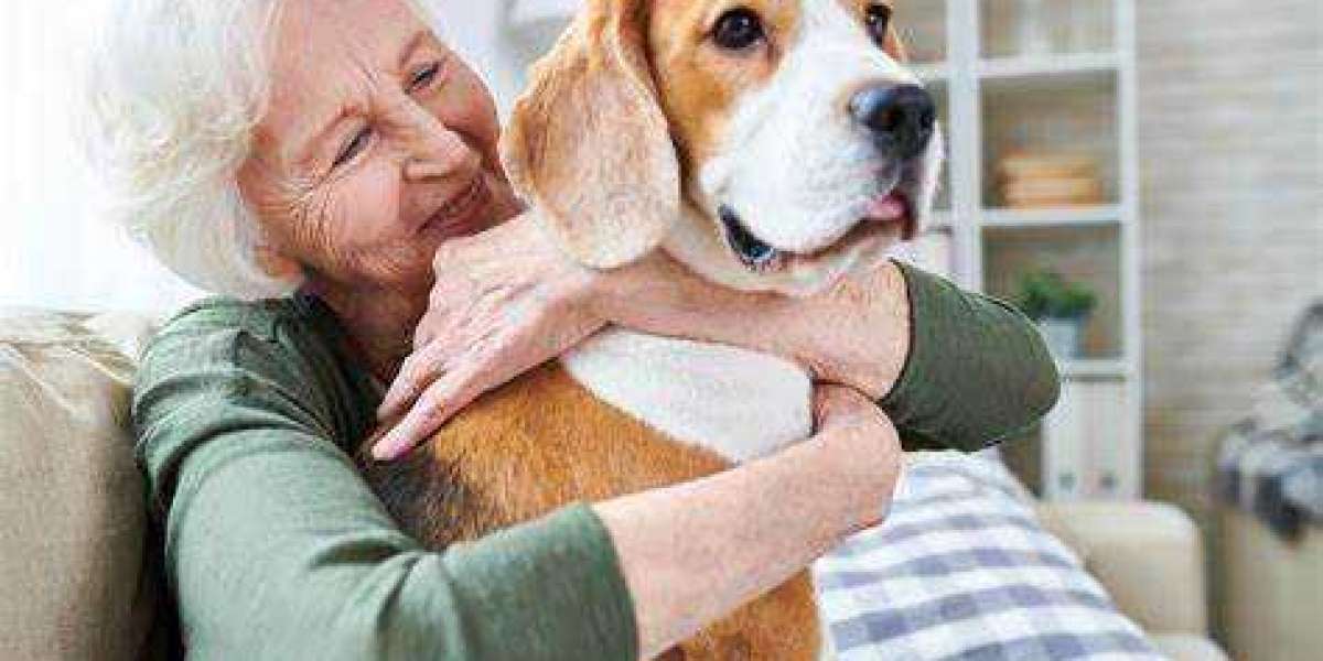 Pros and Cons Of Pet Ownership for Seniors