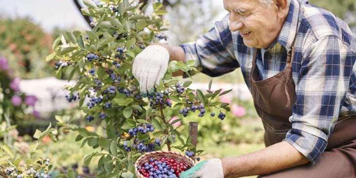 These Springtime Activities Will Surely Be Hits Among Seniors