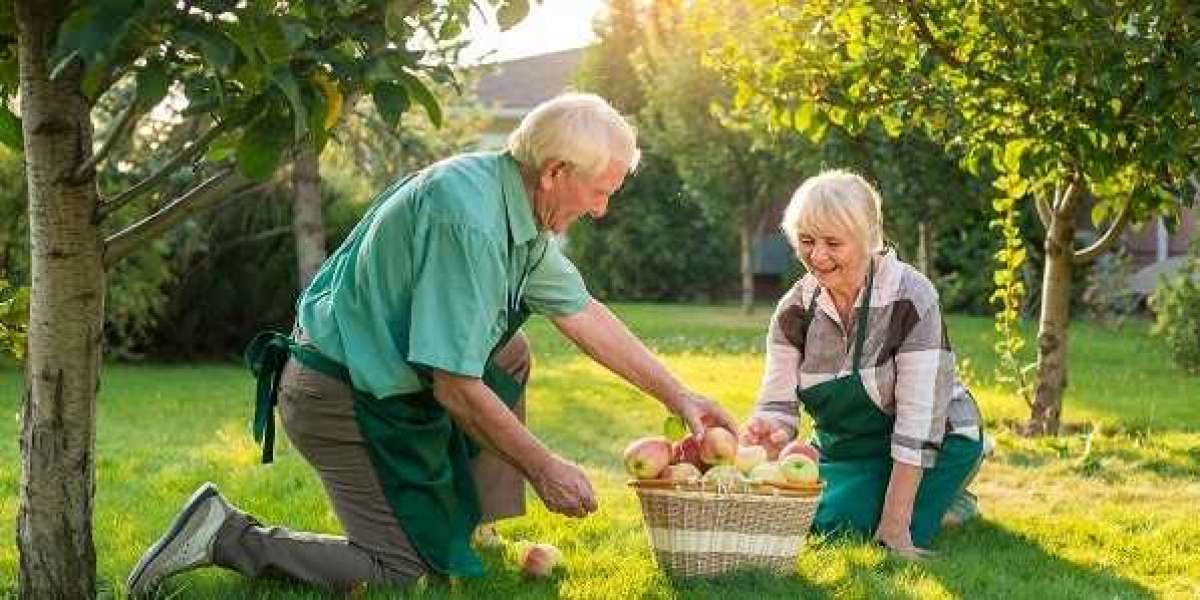 Benefits of Gardening to Seniors