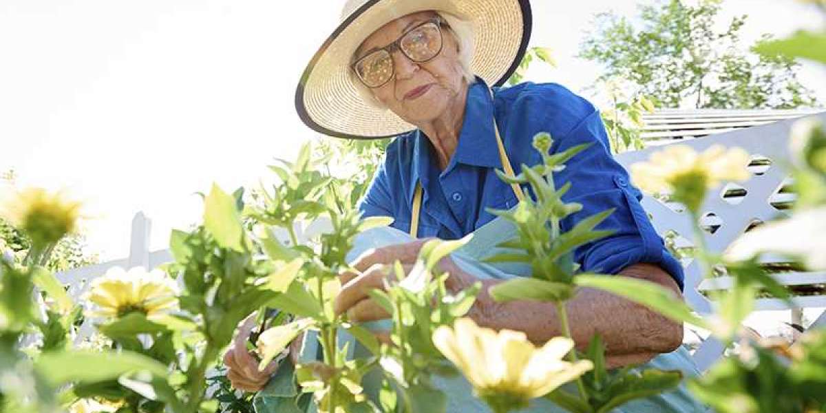 Gardening for Seniors: A Short Guide