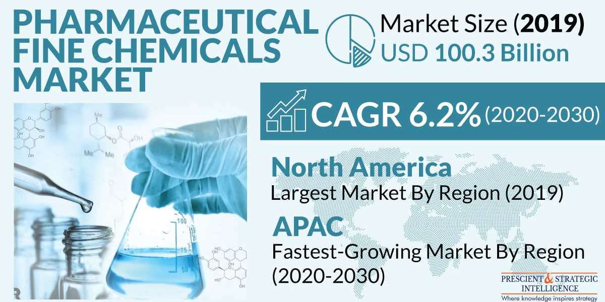 Driving Pharmaceutical Innovation: Exploring the Pharmaceutical Fine Chemicals Market
