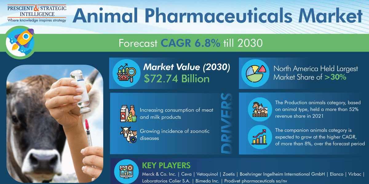 Animal Pharmaceuticals Market Share, Size, Future Demand, and Emerging Trends