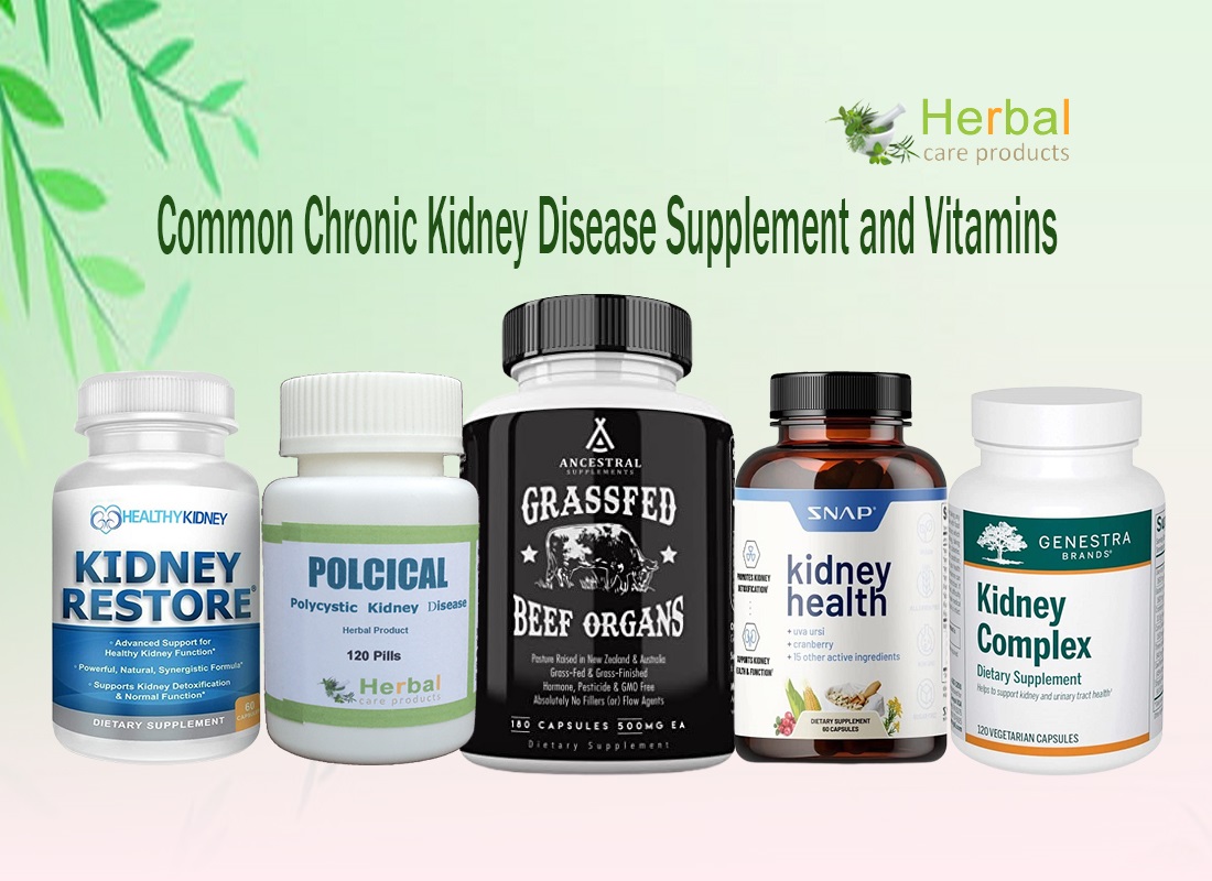 Nutritional Supplements and Their Impact on Kidney Function - Bcrelx