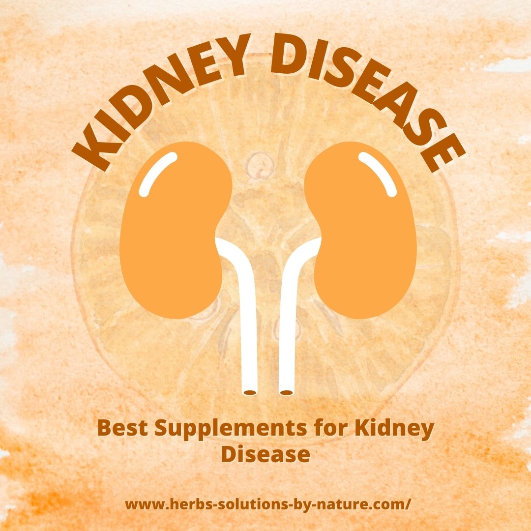 Improving Kidney Health with the Right Supplements