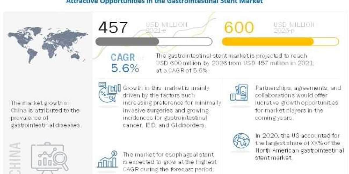 Gastrointestinal Stent Market Trends and 2026 Forecasts for Manufacturers