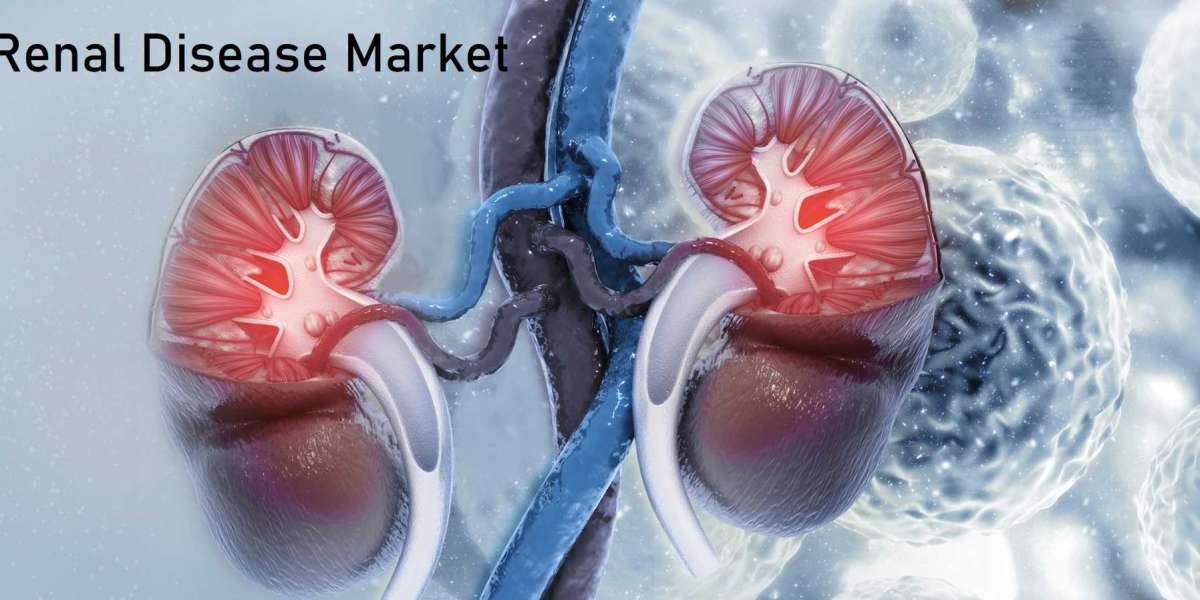 Renal Disease Market Outlook on Growth of the Industry at a CAGR of 11.20%; Confirms MRFR