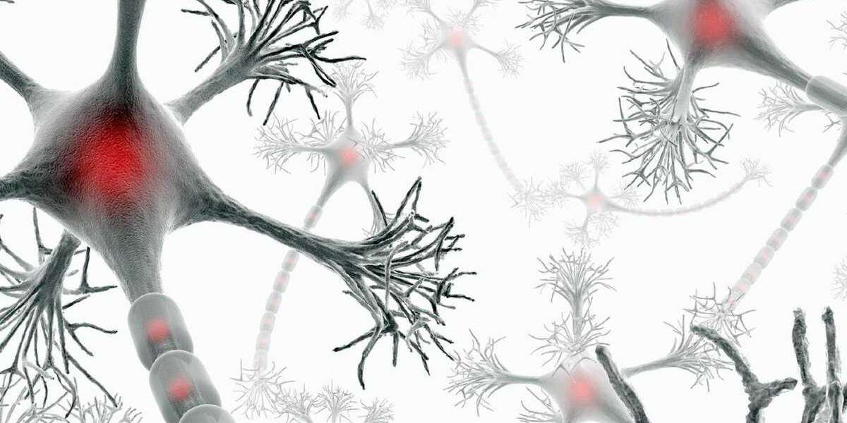 Multiple Sclerosis Treatment Market Outlook Report by Size, Share, Trend and Forecast to 2030