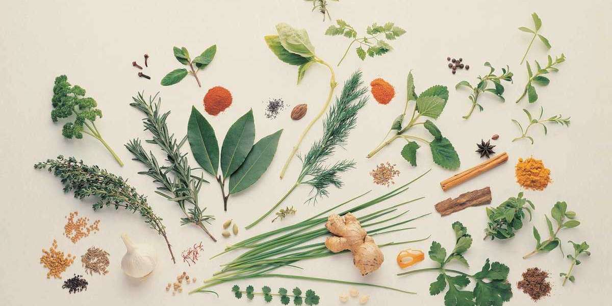 Medicinal Plant Extracts Market Outlook 2022-2030 | Research Report covers Industry Size & Share