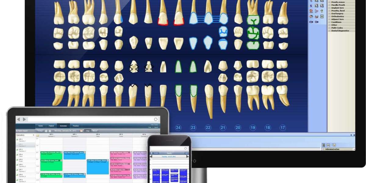 The Dental Practice Management Software Market Outlook Reveals Industry Growth as Technologies Advancing