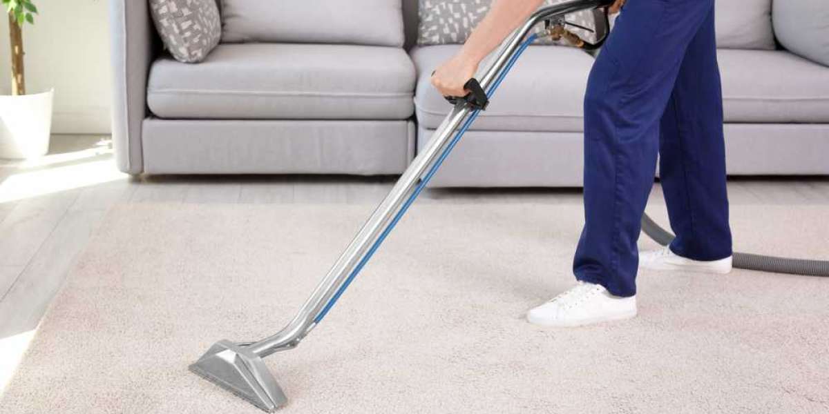 Professional Carpet Cleaning: The Key to Carpet Longevity