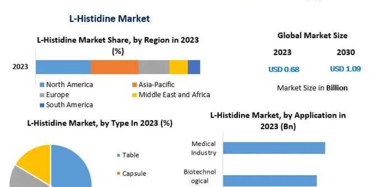 L-Histidine Market Investment Opportunities, Future Trends, Business Demand-2030