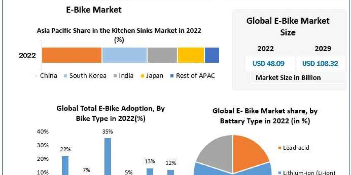 Consumer Shifts in the Global E-Bike Market