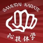 Samurai Karate Croydon Best Karate Classes in Croydon