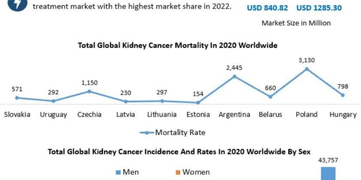 Renal Cell Carcinoma Treatment Market Investment Opportunities, Future Trends, Business Demand and Growth Forecast 2029