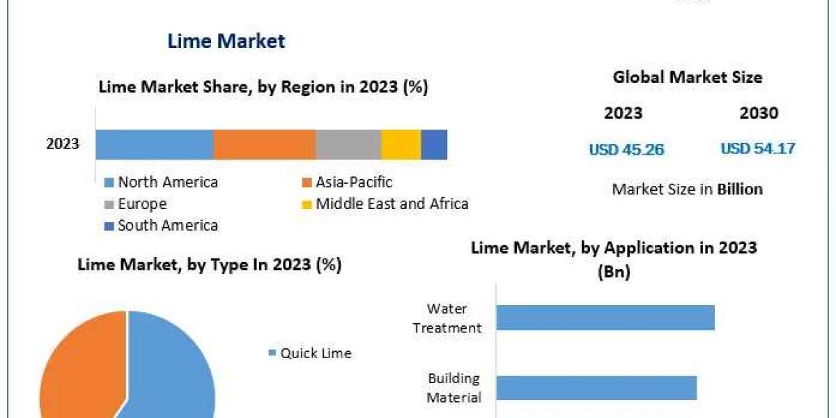 Lime Market Trends, Size, Share, Growth Opportunities, and Emerging Technologies forecast 2030