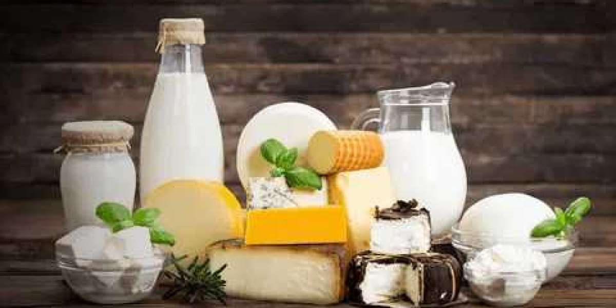 India Dairy Products Market Transformative Trends: Industry Outlook, Size, and Growth Forecast 2027