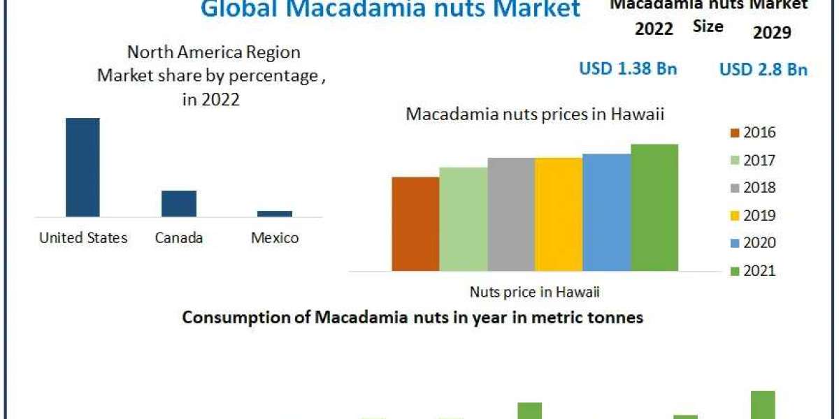 Macadamia nuts Market 2029 Horizons: Exploring Trends, Size, and Forecasting the Future