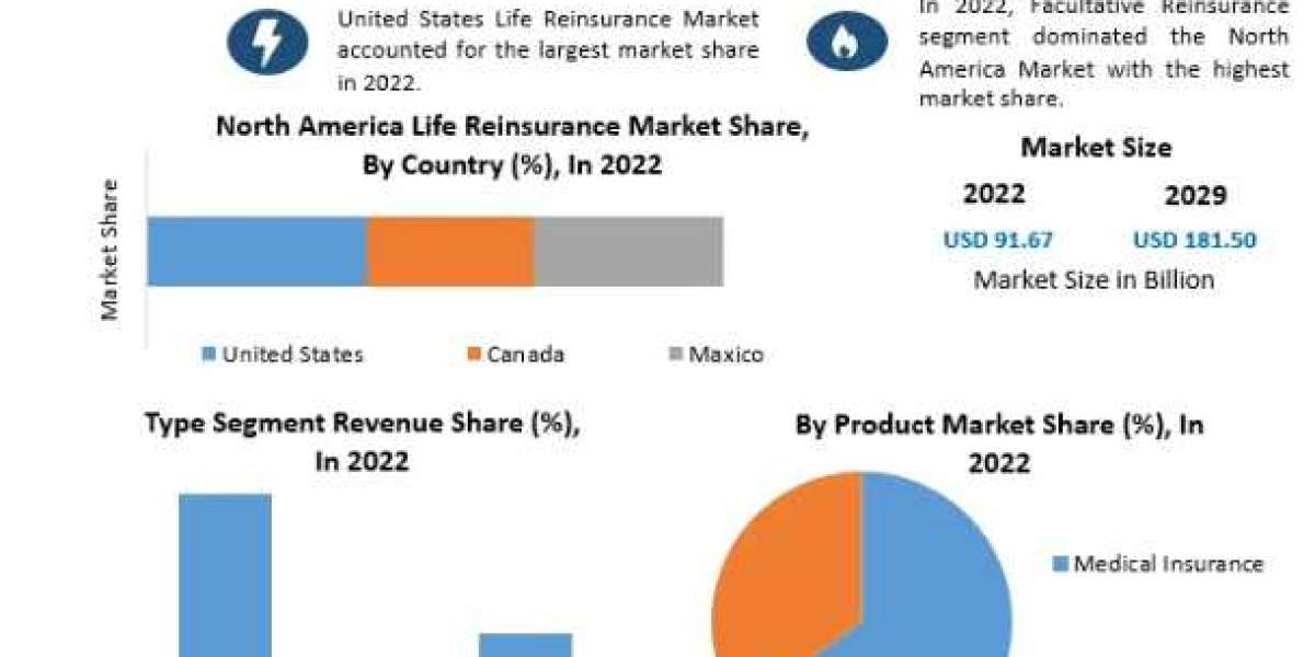 North America Life Reinsurance Market Analysis of Production, Future Demand, Sales and Consumption Research Report to 20