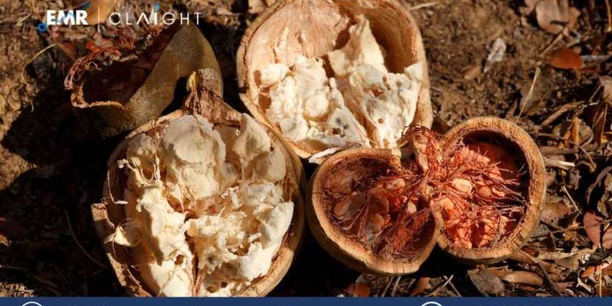 Baobab Ingredient Market Trends, Size, Share and Report 2024-2032