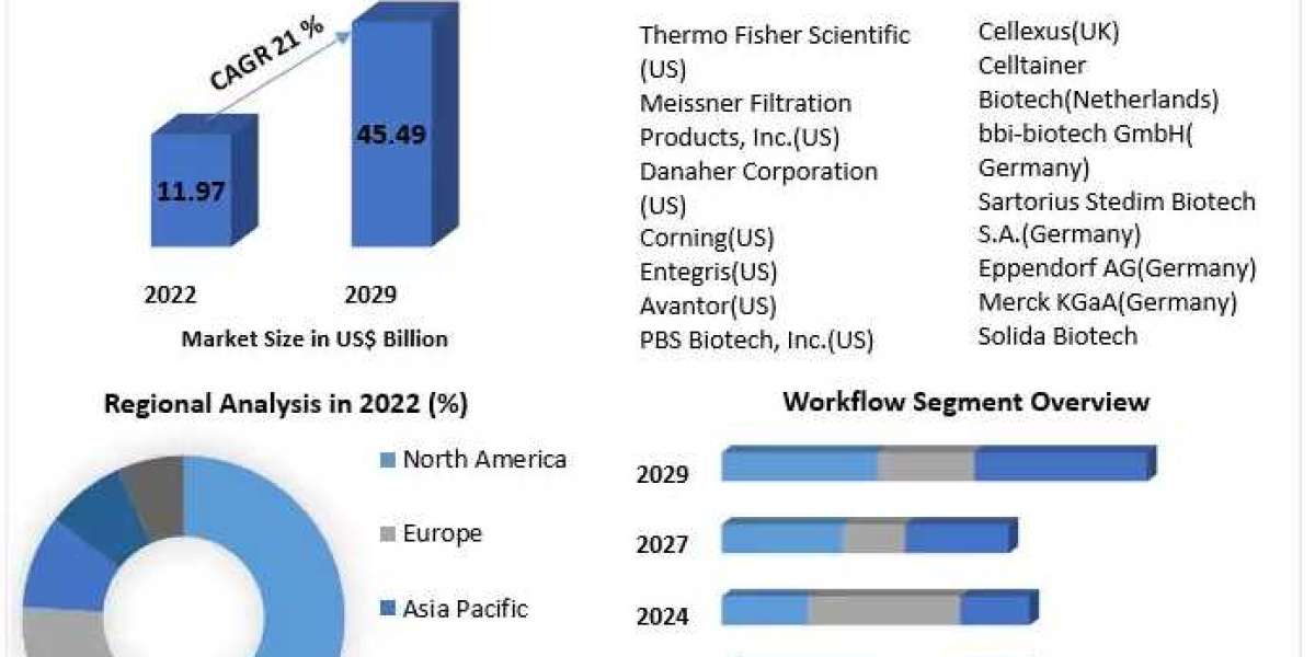 Global Single-use Bioprocessing Industry: Unveiling Trends, Statistics, and Segment Analysis (2023-2029)