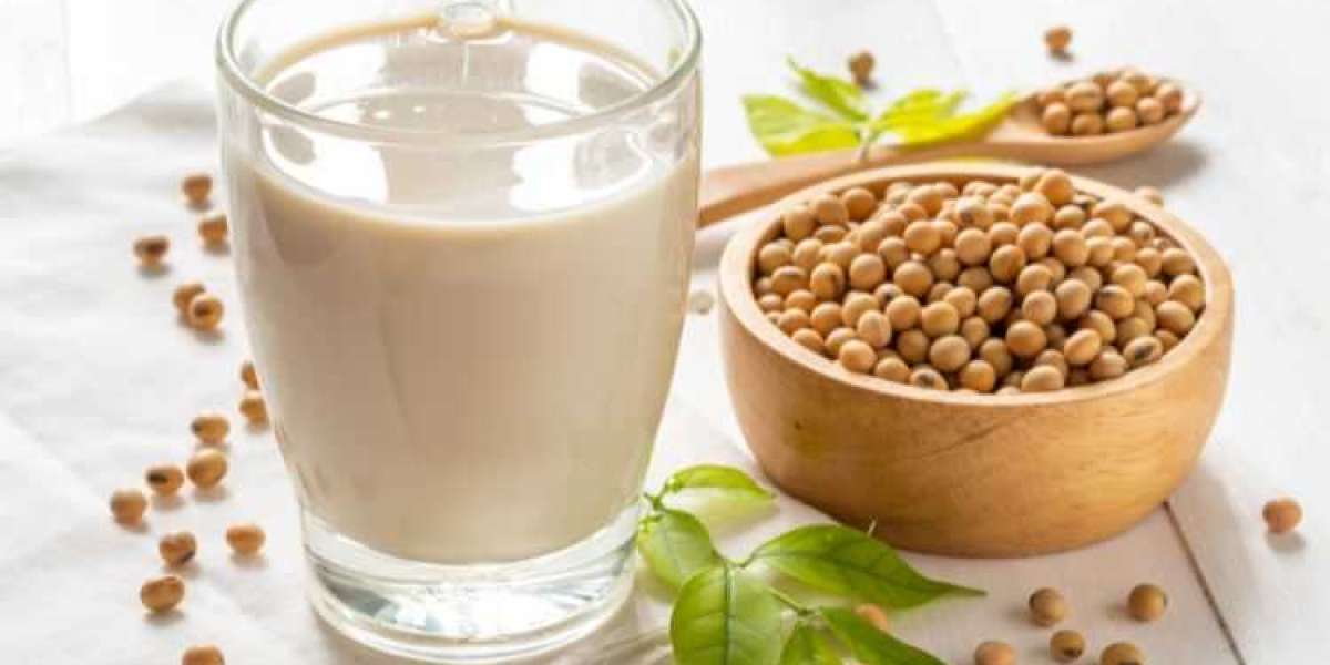 Soy Protein Market Size, Share, Trends, Growth | 2032