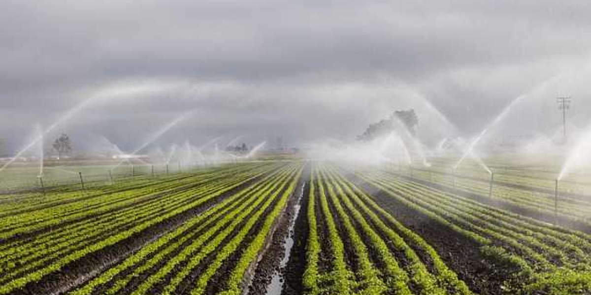 Asia-Pacific Micro Irrigation System Market Future Solutions, User Prospects, and Forecasts to 2032