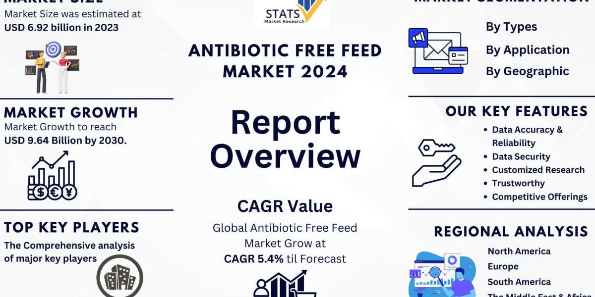Antibiotic Free Feed Market Size, Share 2024
