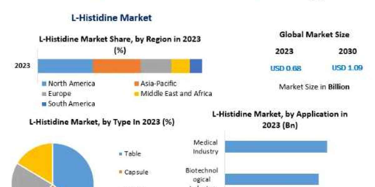 L-Histidine Market Executive Summary, Segmentation, Review, Trends, Opportunities-2030