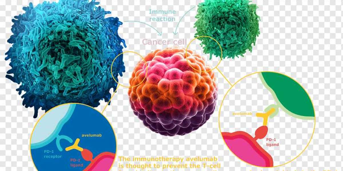 Avelumab Market Latest Trends and Analysis, Future Growth Study by 2034