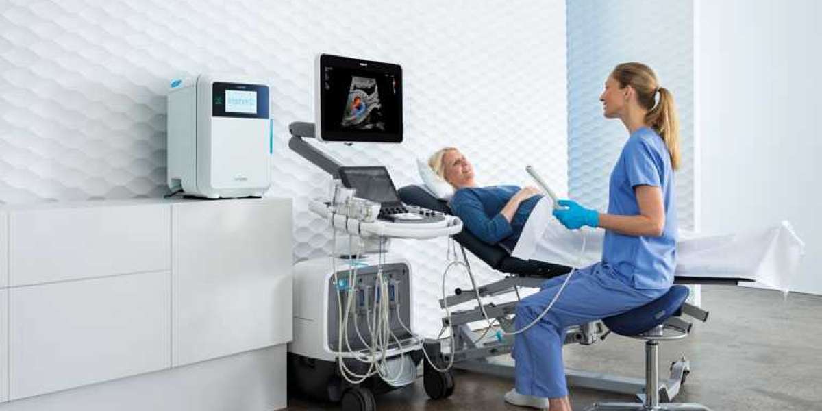 In-Depth Look at the Ultrasound Probe Disinfection Market Size and Share