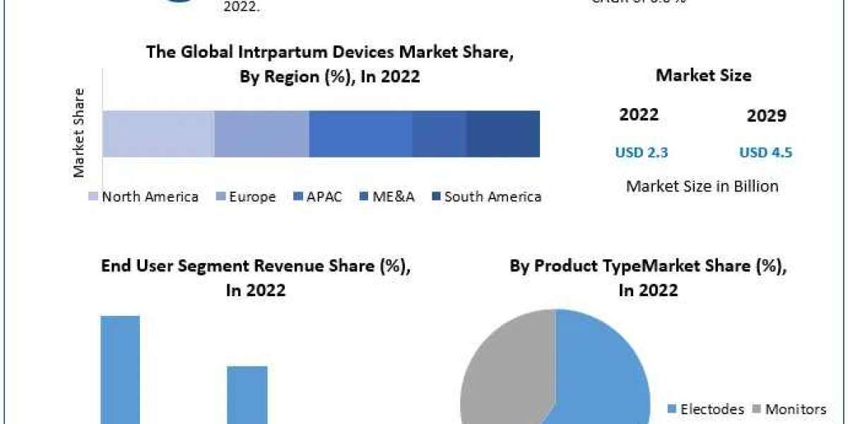 Intrapartum Monitoring Devices Market  Report 2021 Status and Outlook, Industry Analysis, Growth Factor