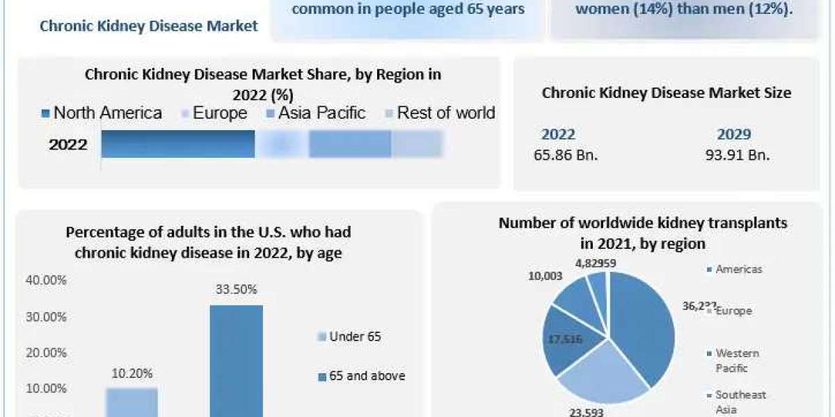 Chronic Kidney Disease Market Business Strategies, Revenue and Growth Rate Upto 2029