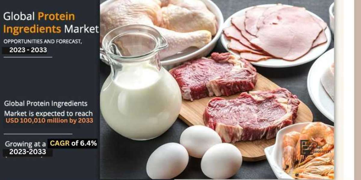 Protein Ingredients Market Industry Analysis, Size, Share, Trends and Forecast  2033