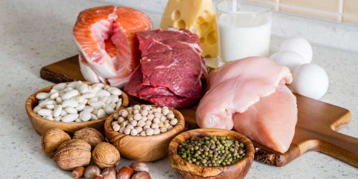 Protein Ingredients Market Statistics, Segment, Trends and Forecast to 2033