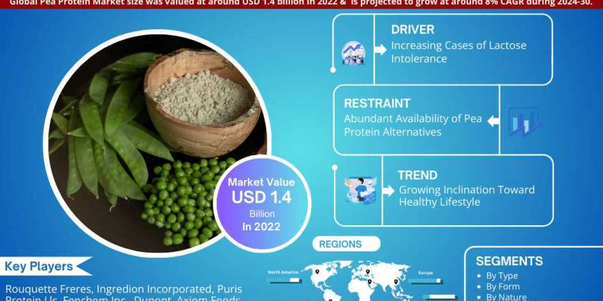 Pea Protein Market Growth, Trends, Revenue, Business Challenges and Future Share 2030: Markntel Advisors