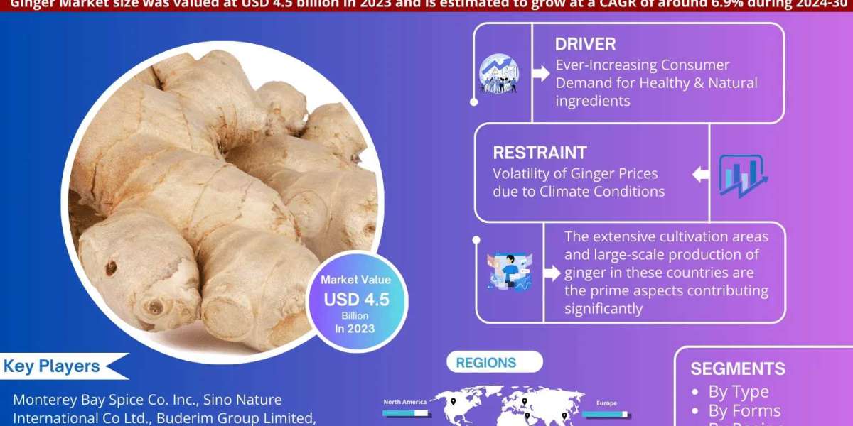 Market Share Dynamics: Analyzing Ginger Market's 6.9% CAGR Growth Forecast (2024-30)