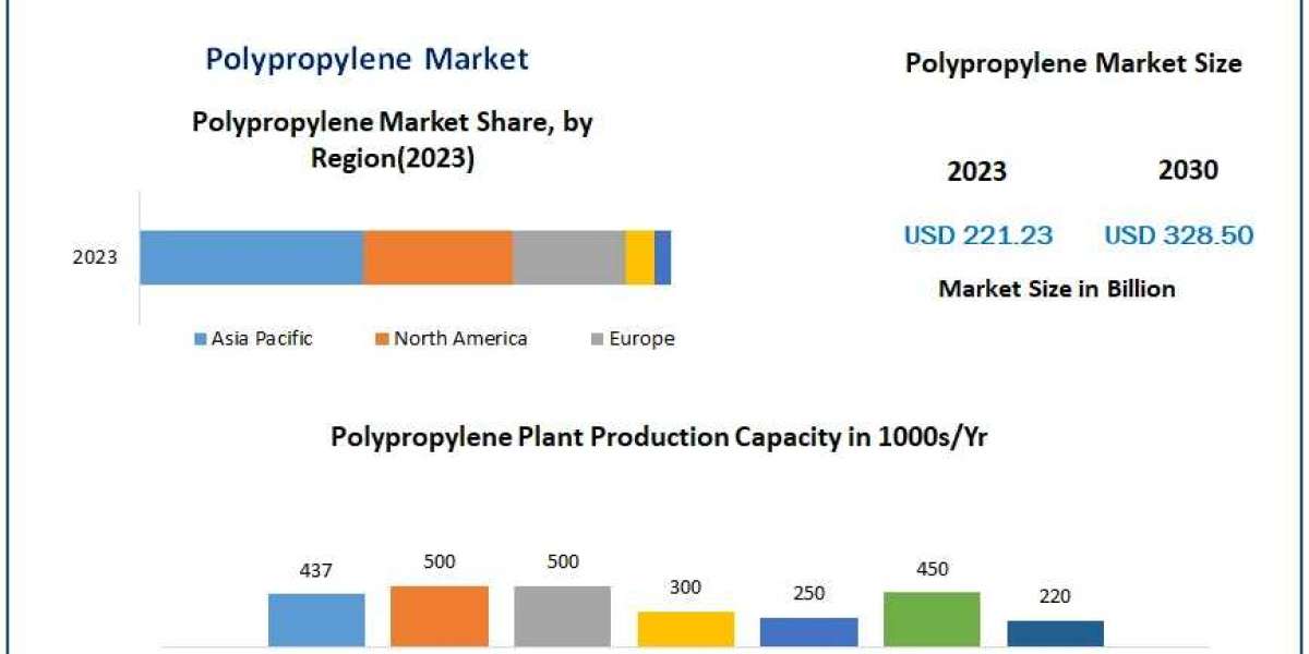 Polypropylene Market Sectoral Analysis: Examining Trends, Size, and Growth Factors in 2030