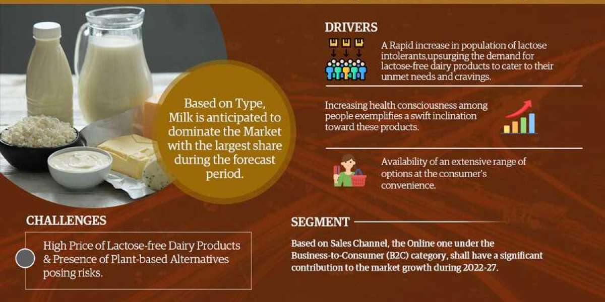 India Lactose-Free Dairy Products Market: Strategies for Sustaining 7% CAGR Forecast (2022-27)