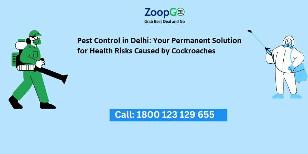 Pest Control in Delhi: Your Permanent Solution for Health Risks Caused by Cockroaches