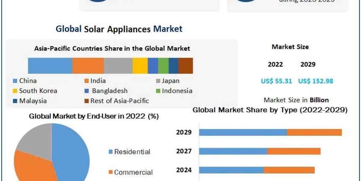 Solar Appliances Market Competitive Landscape 2024-2030