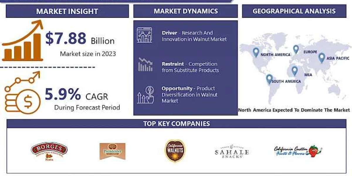 Walnut Market Insights: In-depth Industry Analysis, Market Dynamics, Growth Drivers, Market Size, Share, and Future Fore