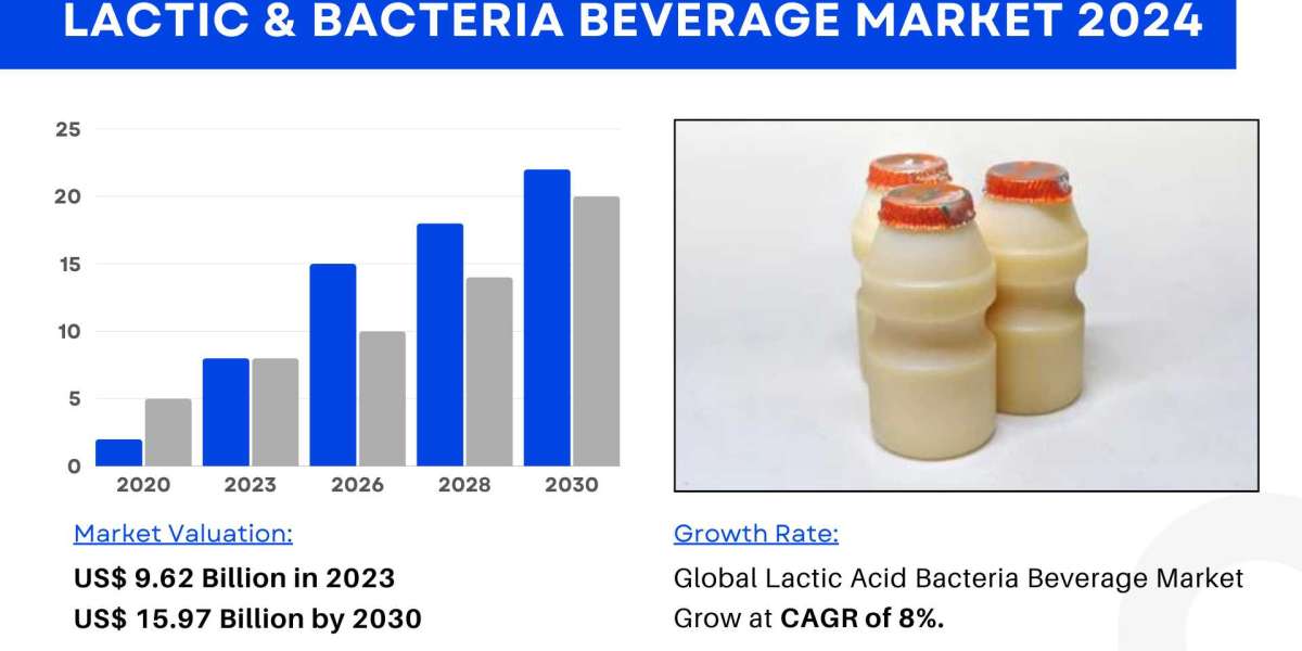 Lactic Acid Bacteria Beverage Market Size, Share 2024