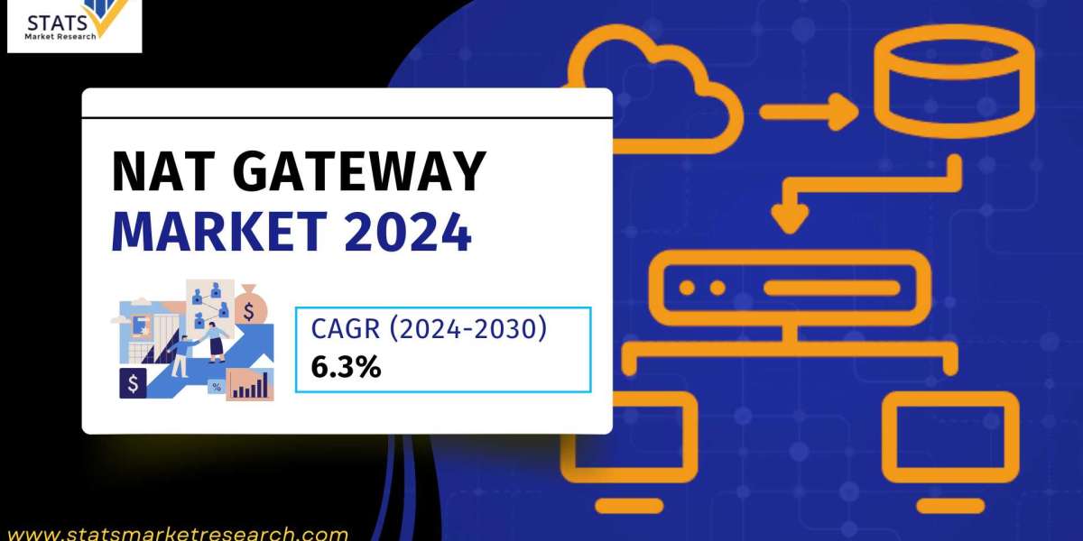 NAT Gateway Market Size, Share 2024