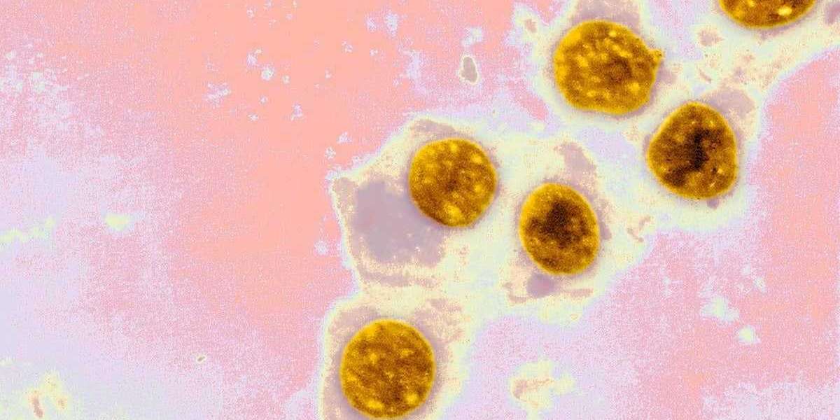 Pfizer’s Azithromycin: Revolutionizing Chlamydia Infection Treatment in 2024