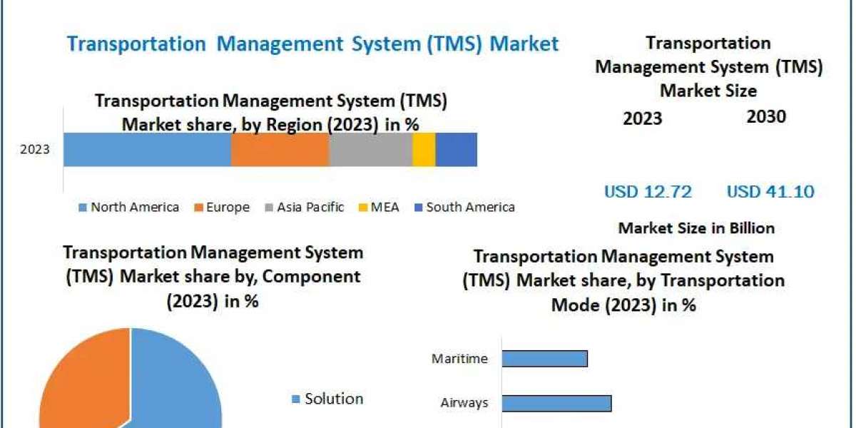 Global Transportation Management System (TMS) Market Overview And Competition Analysis By 2030