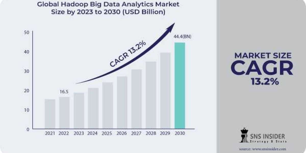Hadoop Big Data Analytics Market: A Study of the Key Players and Their Strategies