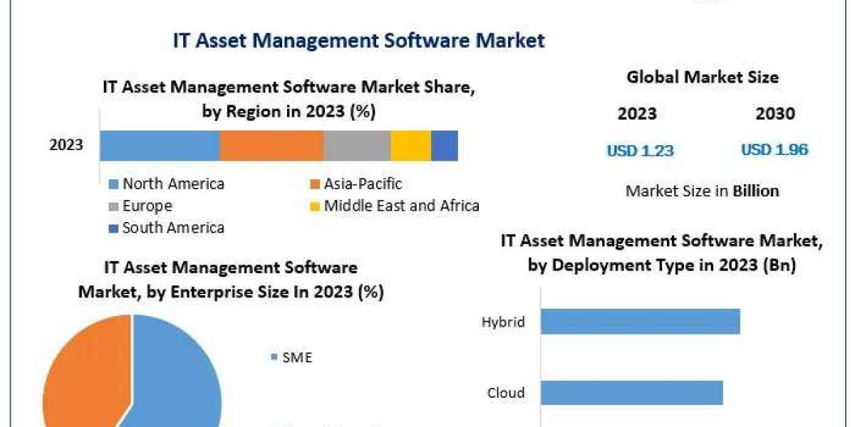 Global IT Asset Management Software Market Supply and Demand with Size (Value and Volume) by 2030