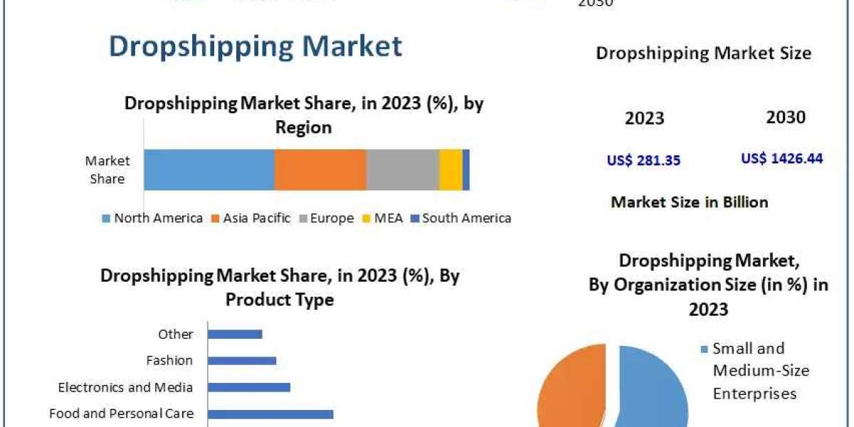 Dropshipping Market Analysis 2024-2030: Regional Insights and Market Trends