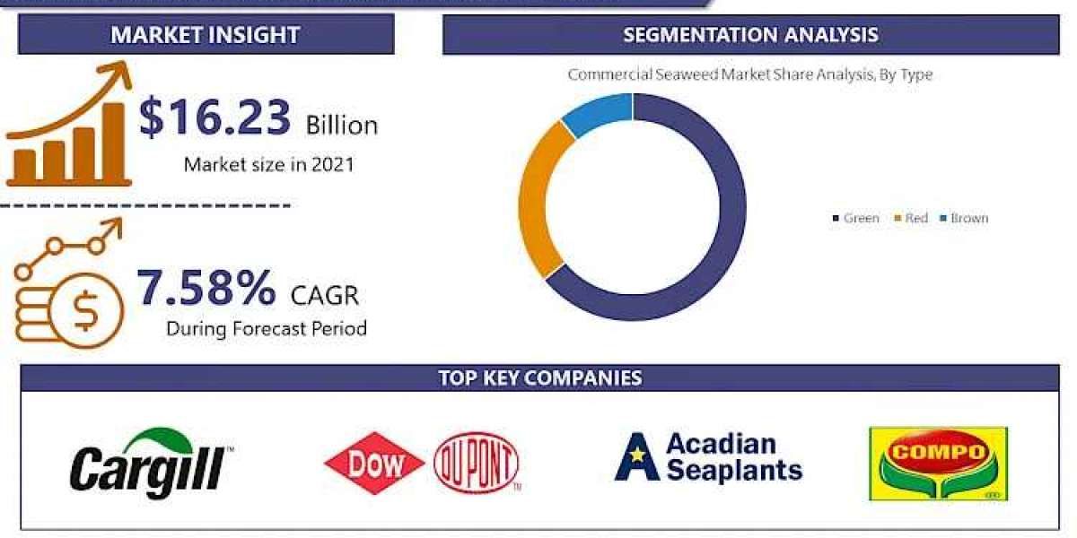 Commercial Seaweed Market Size, Business Revenue Forecast, Leading Competitors | IMR