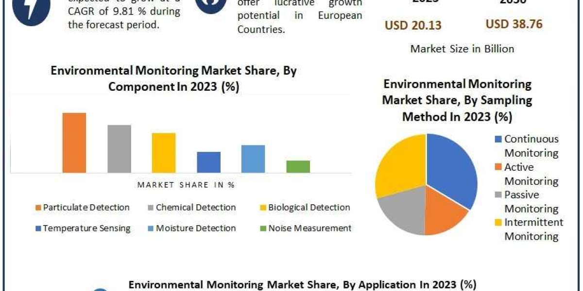 2024-2030 Vision: Environmental Monitoring Market Dynamics